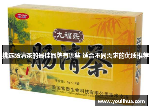 挑选肠清茶的最佳品牌有哪些 适合不同需求的优质推荐