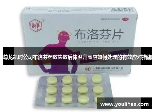 尊龙凯时公司布洛芬药效失效后体温升高应如何处理的有效应对措施
