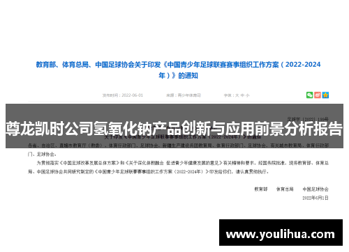 尊龙凯时公司氢氧化钠产品创新与应用前景分析报告