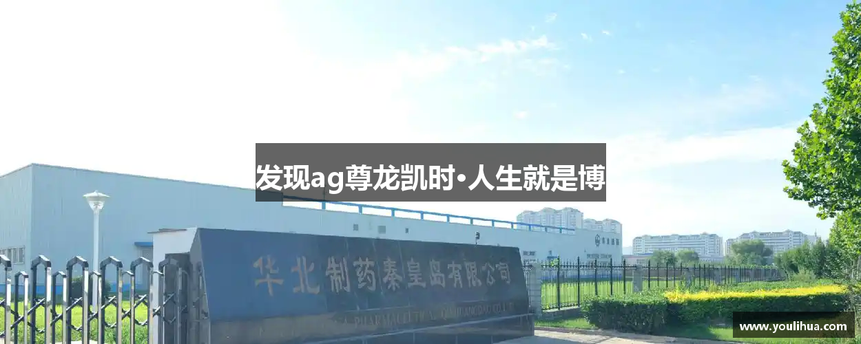 发现ag尊龙凯时·人生就是博